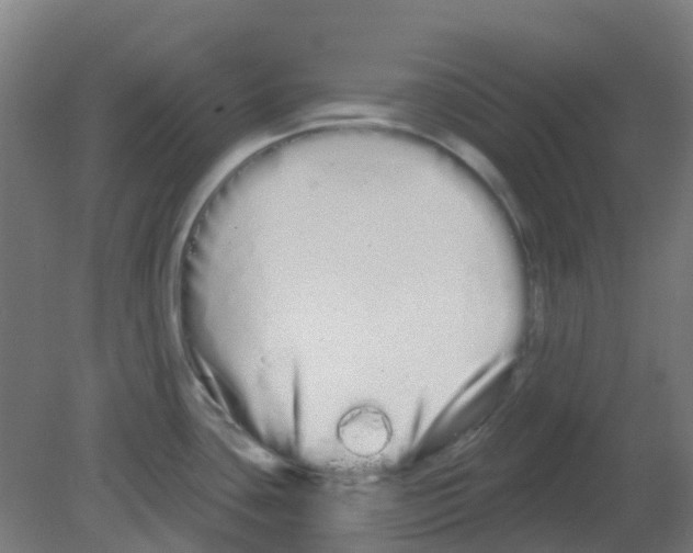 X0000080771435200701122044