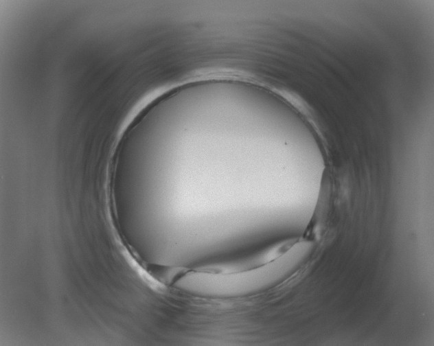 X0000080771438200701122044