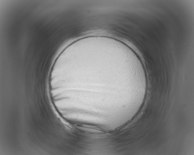 X0000080771440200701122044