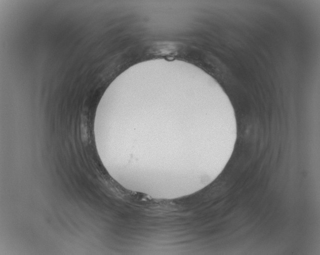 X0000080771442200701122043