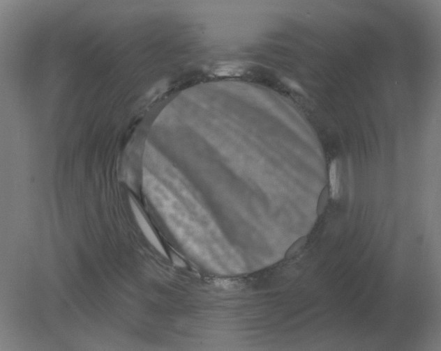 X0000080771443200701122043