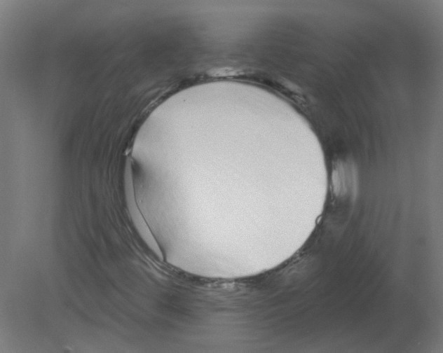 X0000080771444200701122043