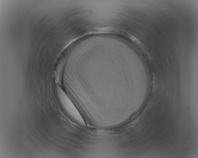 X0000080771449200701122043