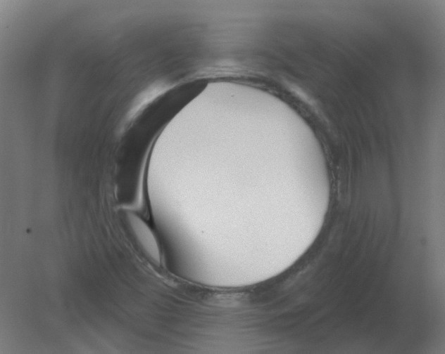 X0000080771453200701122043