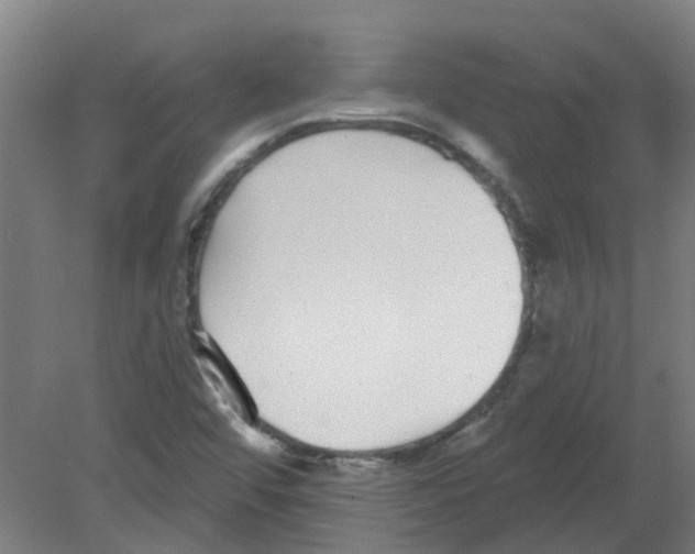 X0000080771456200701122043