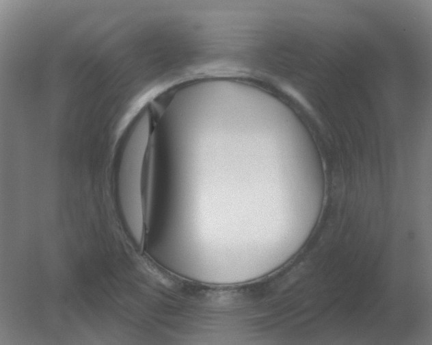 X0000080771461200701122043