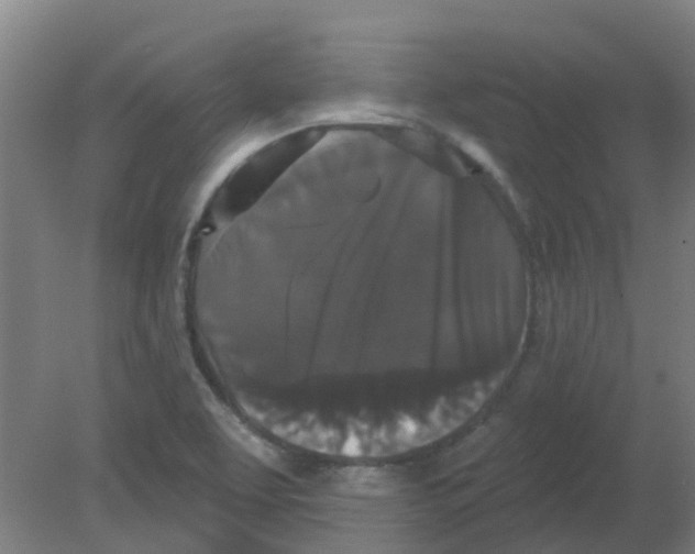X0000080771463200701122043