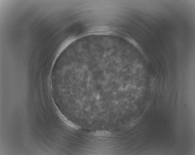 X0000080771466200701122043