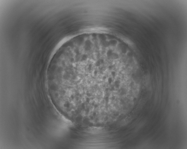 X0000080771470200701122042