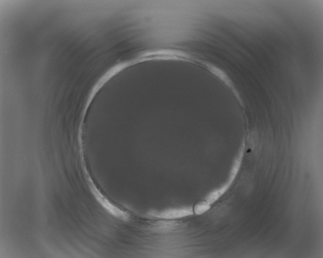 X0000080771482200701122042