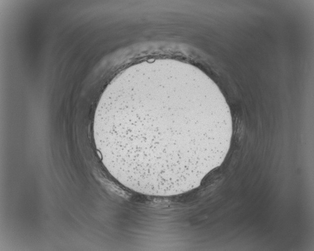 X0000080771489200701122041