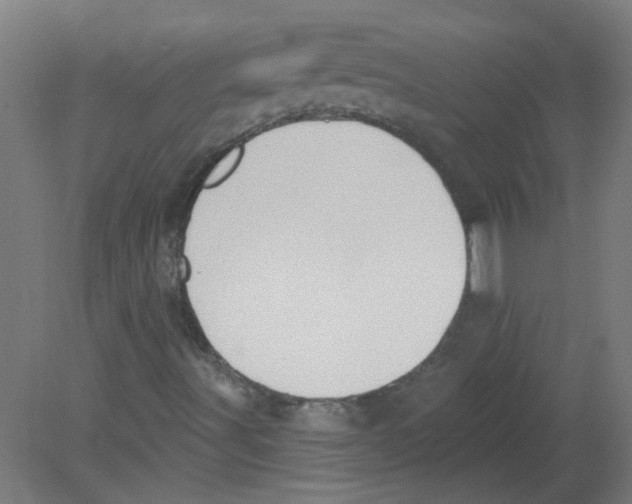 X0000080771491200701122041