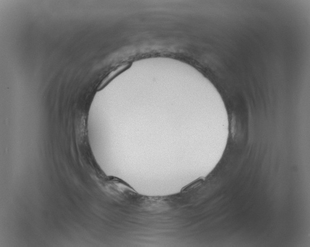 X0000080771492200701122041