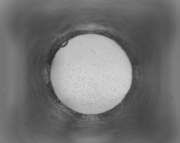 X0000080771493200701122041