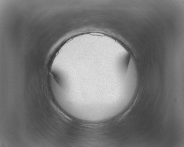 X0000080771502200701122042