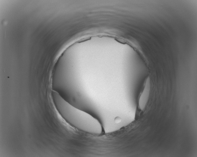 X0000080771524200701122042