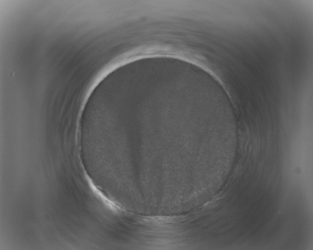 X0000080771527200701122042