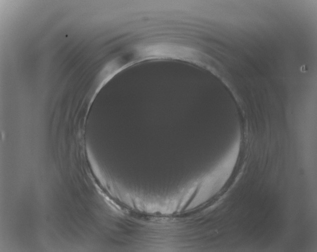 X0000080771529200701122042