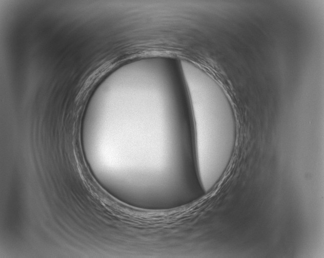 X0000080780001200612151044