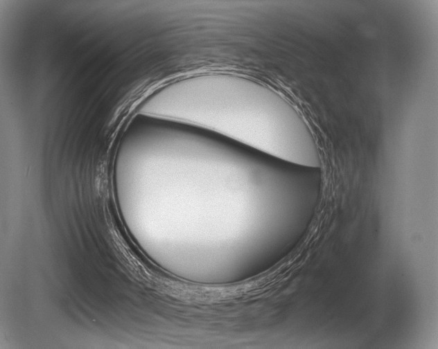 X0000080780002200612151044