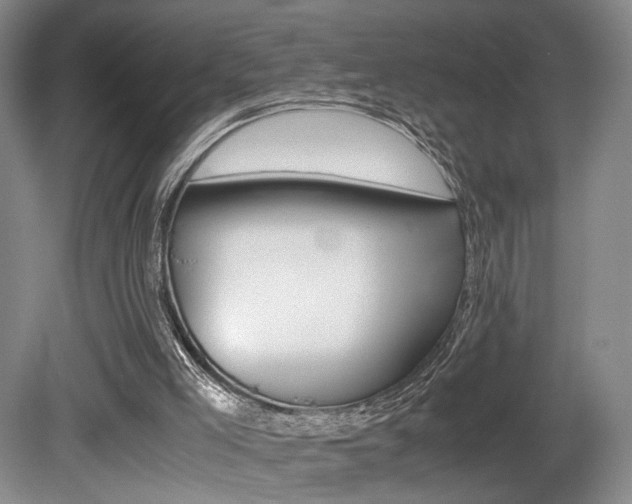 X0000080780005200612151044