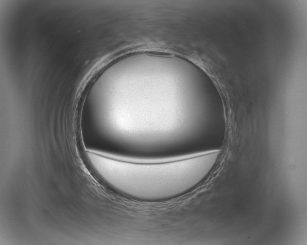 X0000080780007200612151044