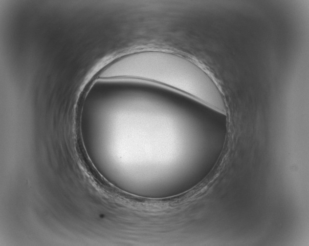 X0000080780008200612151044
