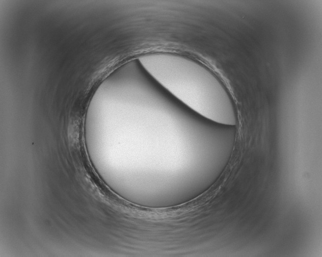 X0000080780010200612151044