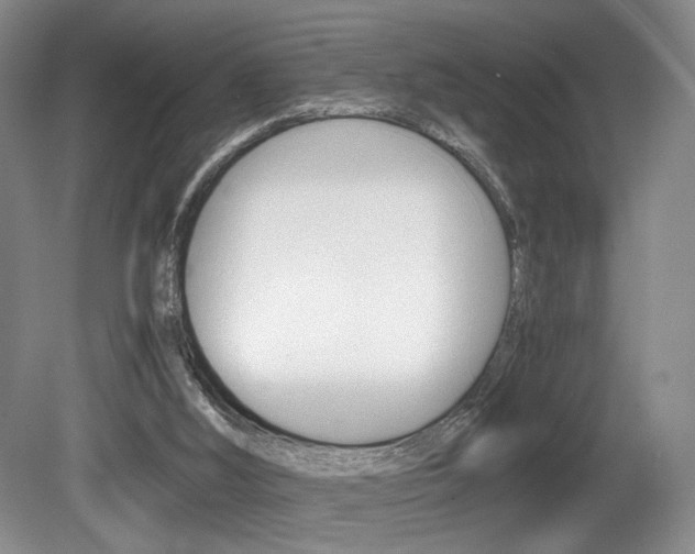 X0000080780012200612151044