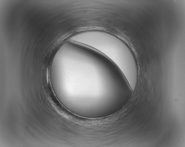 X0000080780013200612151044