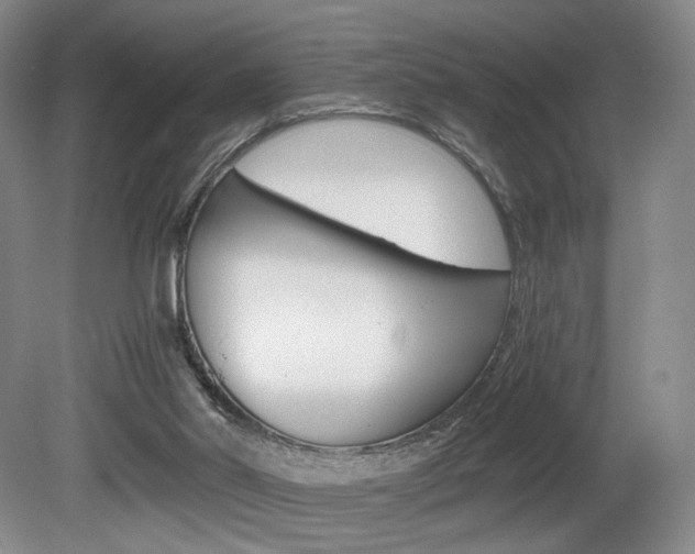 X0000080780014200612151044