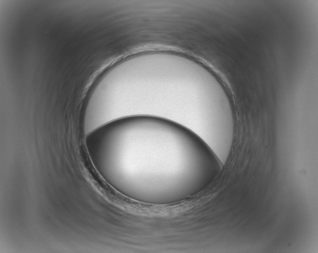 X0000080780015200612151044