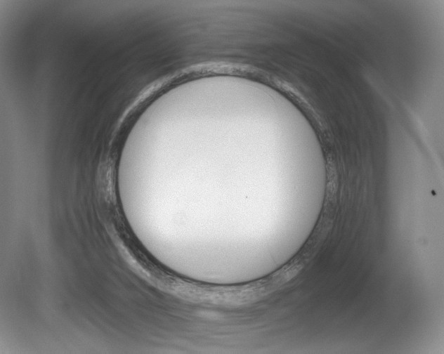 X0000080780016200612151044