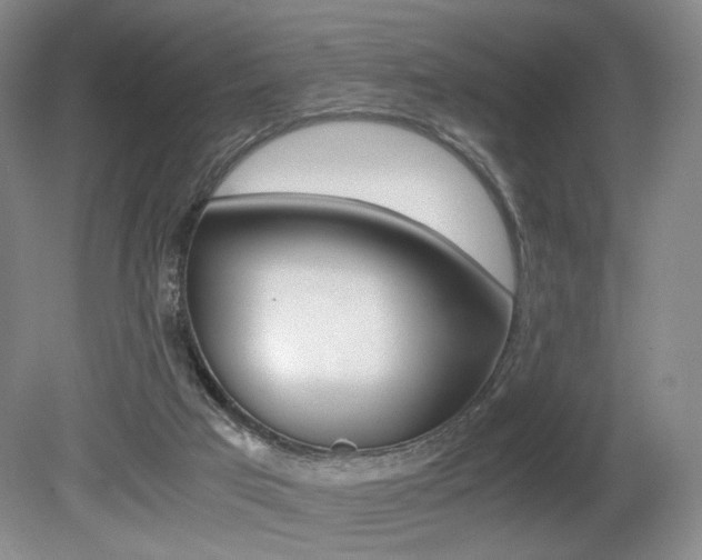 X0000080780017200612151044