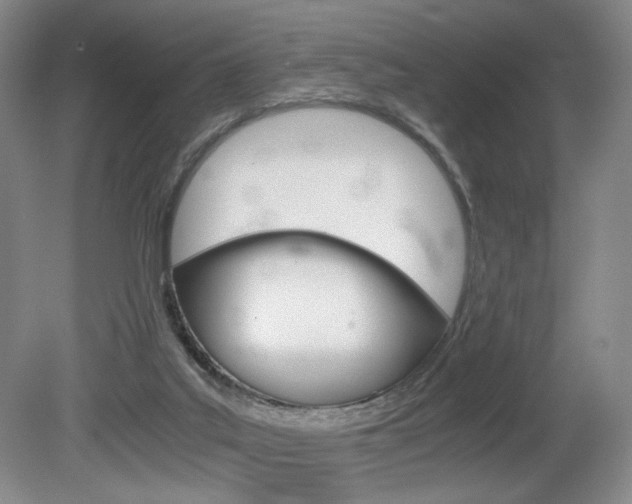 X0000080780019200612151043