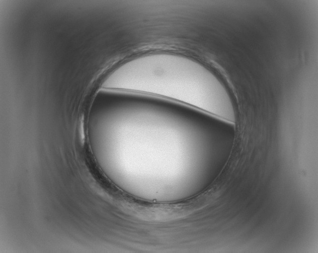 X0000080780020200612151043