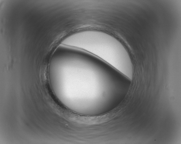 X0000080780023200612151043