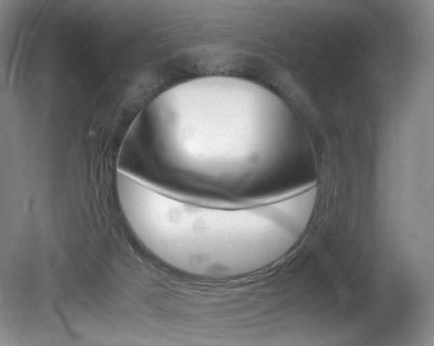 X0000080780025200612151043