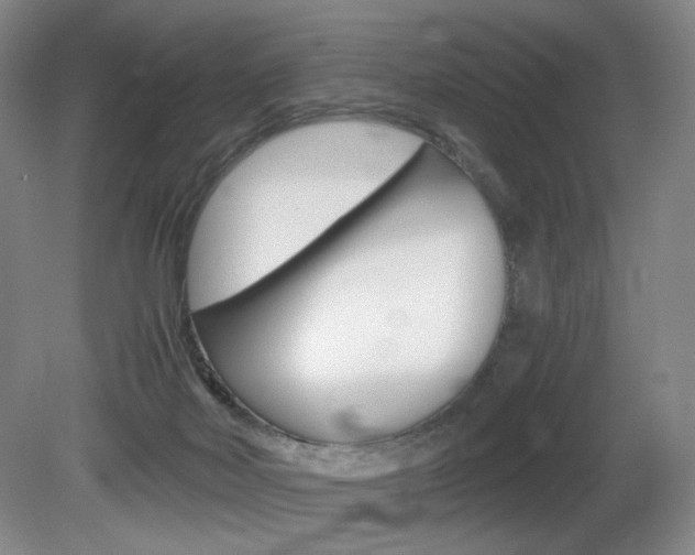 X0000080780026200612151043