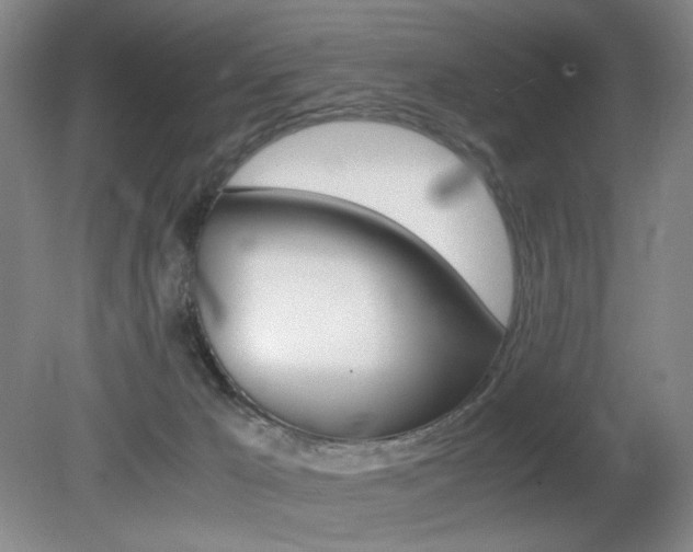 X0000080780029200612151043