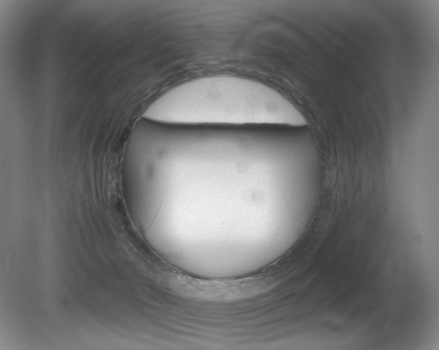 X0000080780030200612151043