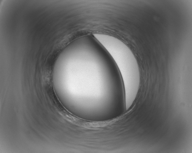 X0000080780033200612151043