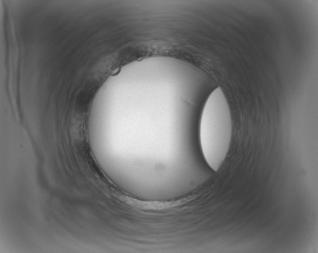 X0000080780034200612151043