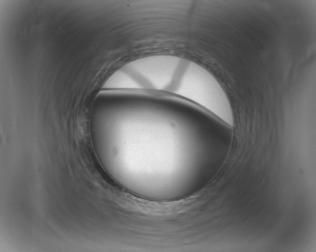 X0000080780035200612151043