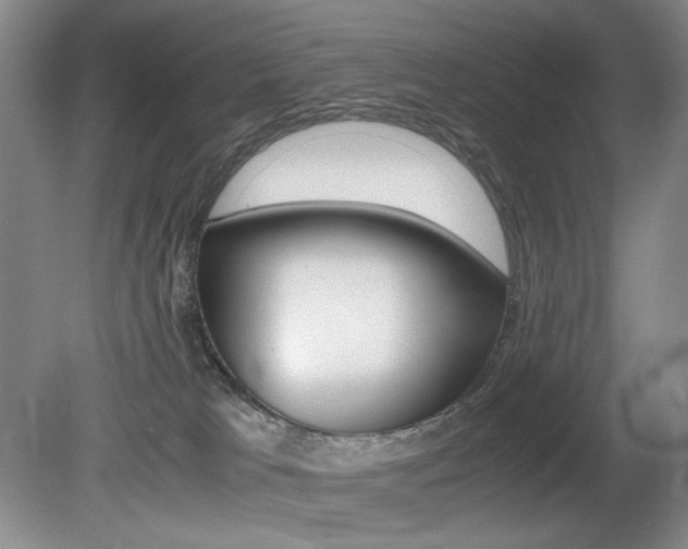 X0000080780037200612151043