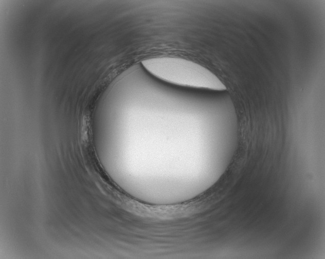 X0000080780038200612151043