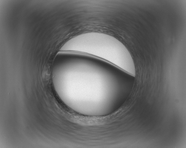 X0000080780040200612151043
