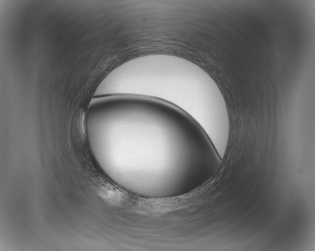 X0000080780041200612151043
