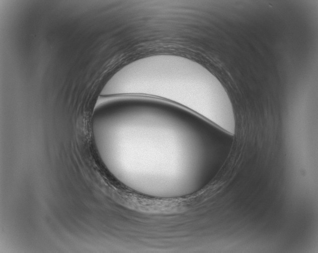 X0000080780044200612151043