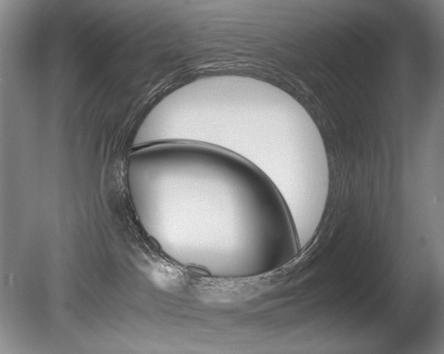 X0000080780045200612151043